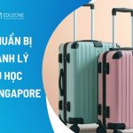 Chuẩn bị hành lý du học Singapore 2026: Cẩm nang từ A-Z