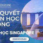 Cách săn học bổng du học Singapore: Các loại học bổng, điều kiện và lộ trình chuẩn bị hồ sơ