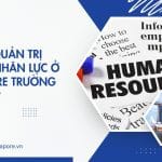 Cử nhân Quản trị Nhân lực: Nên học trường nào tốt nhất tại Singapore?