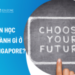 Nên học ngành gì ở Singapore? Cách chọn ngành theo năng lực, thị trường việc làm và ngân sách