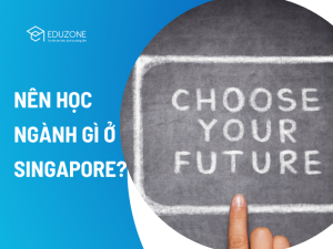Du học Singapore nên chọn ngành nào? Hướng dẫn từ Eduzone