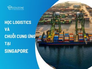Du học Singapore ngành Logistics là lựa chọn chiến lược năm 2026 nhờ lộ trình đào tạo tinh gọn: 2 năm bậc Cử nhân và 1 năm bậc Thạc sĩ.