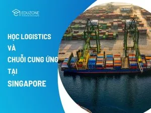 Du học Singapore ngành Logistics là lựa chọn chiến lược năm 2026 nhờ lộ trình đào tạo tinh gọn: 2 năm bậc Cử nhân và 1 năm bậc Thạc sĩ.