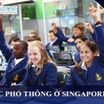 Du học Singapore sau lớp 8: 3 lộ trình để hướng tới học đại học công lập