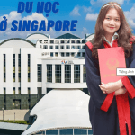 Hành trình nữ sinh dành học bổng 100% du học Singapore dù điểm IELTS không cao
