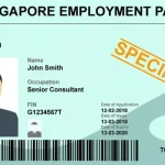 Thẻ lao động tại Singapore có những loại nào?