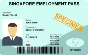 Thẻ lao động tại Singapore có những loại nào?