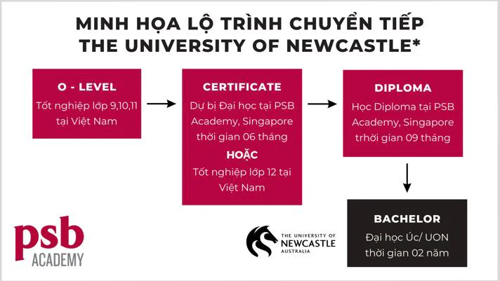 Chuyen-tiep-newcastle