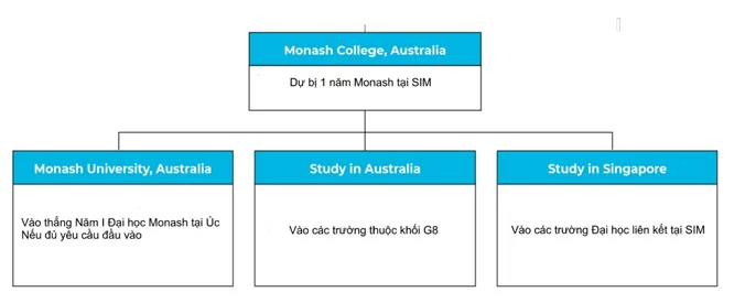 Monash-foundation