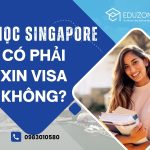 Du học Singapore có cần xin visa không?