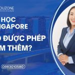 Du học Singapore có được phép đi làm thêm? Ranh giới pháp lý & Giải pháp