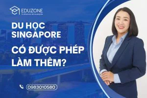Sự thật về du học Singapore vừa học vừa làm: Cơ hội hay Rủi ro?