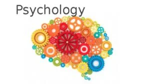 Top trường đào tạo ngành Tâm lý học tốt nhất tại Singapore?