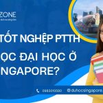 Du học Singapore từ lớp 9: Lộ trình lấy bằng đại học và những điều cần cân nhắc