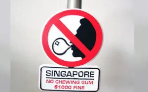 Gum