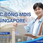 Học bổng MDIS Singapore 2026: Kỷ niệm 70 năm thành lập (Mới nhất)
