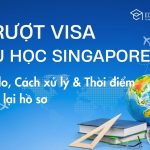 7 Lý do bị từ chối Visa du học Singapore & Cách khắc phục