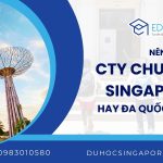 Nên chọn công ty du học Singapore chuyên sâu hay đa quốc gia?