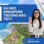 Du học Singapore trường nào tốt? Cách chọn trường theo học lực, ngân sách và mục tiêu