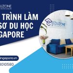 Quy trình 6 bước chuyên nghiệp tại công ty du học Eduzone