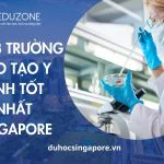 Top 3 trường đào tạo Khoa học Y sinh tốt nhất Singapore 2026 Top 3 trường đào tạo Khoa học Y sinh tốt nhất Singapore 2026