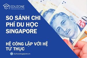 So sánh chi phí du học Singapore: Hệ Công lập với Hệ Tư thục