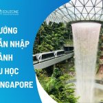 Quy trình nhập học Singapore 2026: Việc cần làm ngay tại Changi
