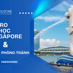 Rủi ro thường gặp khi du học Singapore và cách phòng tránh