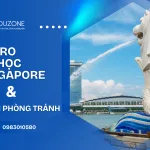 Rủi ro thường gặp khi du học Singapore và cách phòng tránh