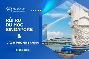 Rủi ro thường gặp khi du học Singapore và cách phòng tránh