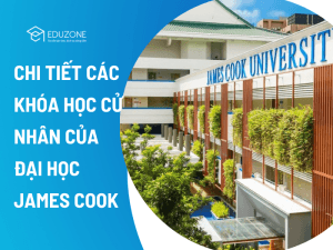 Chi tiết các khóa học Cử nhân của Đại học James Cook Singapore mới nhất